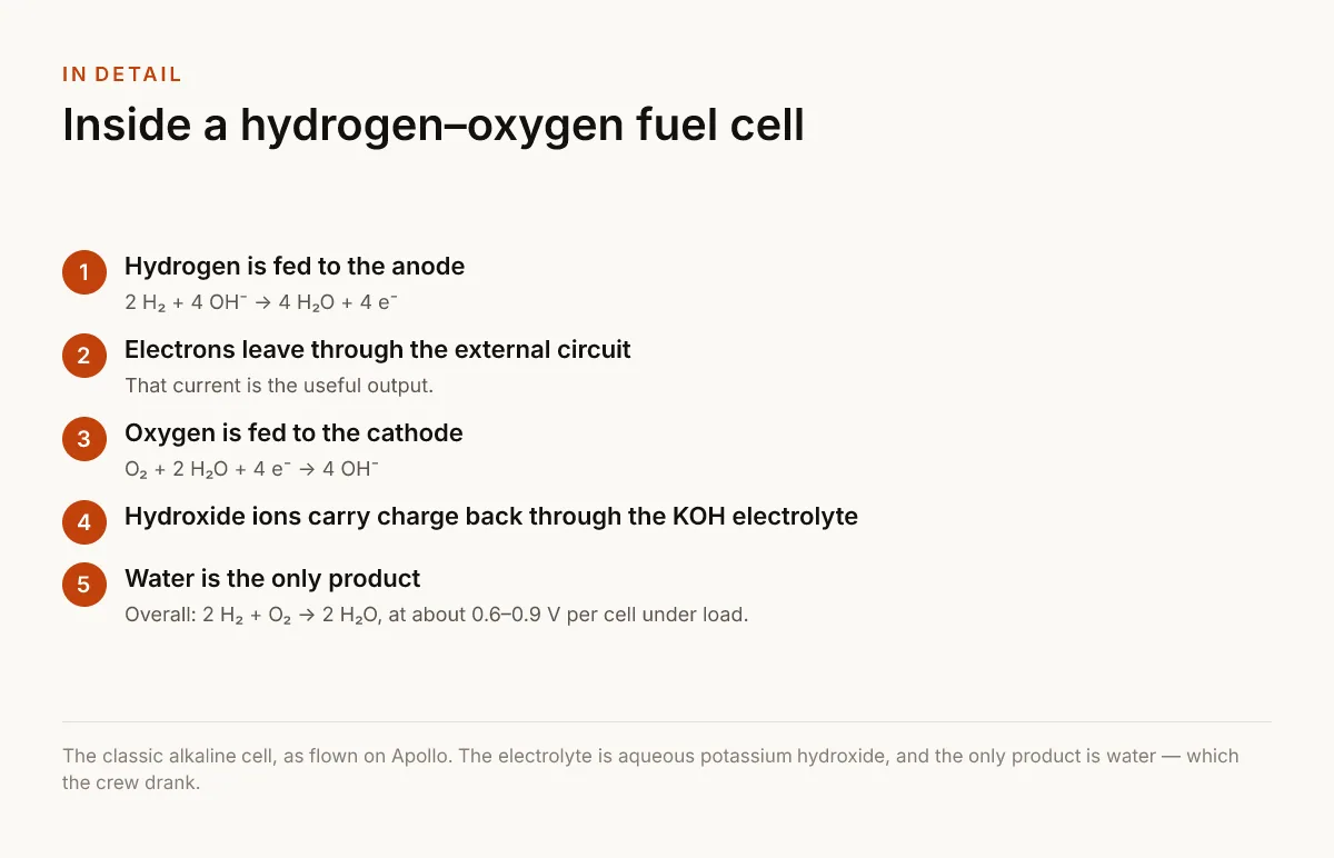 Inside a hydrogen–oxygen fuel cell. Hydrogen is fed to the anode — 2 H₂ + 4 OH⁻ → 4 H₂O + 4 e⁻; Electrons leave through the external circuit — That current is the useful output.; Oxygen is fed to the cathode — O₂ + 2 H₂O + 4 e⁻ → 4 OH⁻; Hydroxide ions carry charge back through the KOH electrolyte; Water is the only product — Overall: 2 H₂ + O₂ → 2 H₂O, at about 0.6–0.9 V per cell under load..
