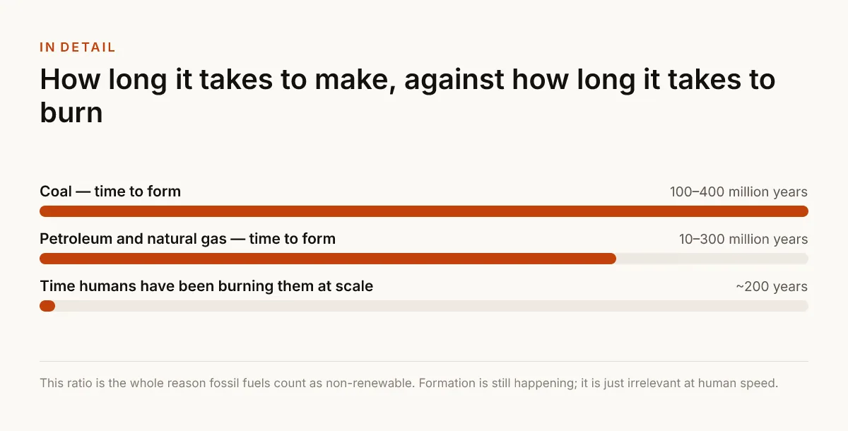 How long it takes to make, against how long it takes to burn. 100–400 million years — Coal — time to form; 10–300 million years — Petroleum and natural gas — time to form; ~200 years — Time humans have been burning them at scale.