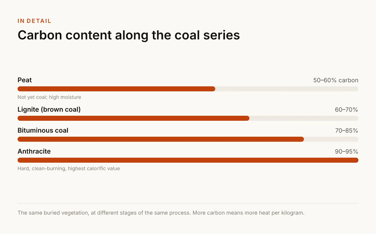 Carbon content along the coal series. 50–60% carbon — Peat — Not yet coal; high moisture; 60–70% — Lignite (brown coal); 70–85% — Bituminous coal; 90–95% — Anthracite — Hard, clean-burning, highest calorific value.